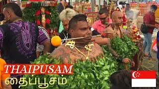 THAIPUSAM 2020 - SRI SRINIVASA PERUMAL TEMPLE