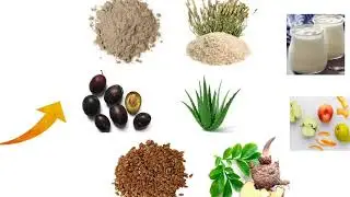 SYNOGUT 2022