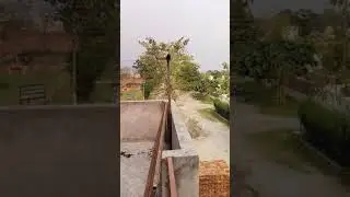 Green avinew Punj peer road Garha PHILLAUR contact 9463928698 Sikka Phillaur.