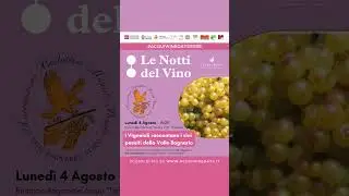 2025 08 04 Le notti del vino TURISMO reel
