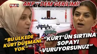 Meclis'te AKP ve DEM Parti arasında 