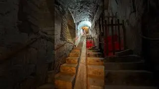 scopri il fascino sotterraneo delle cantine storiche Mustilli