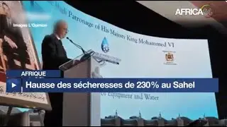 Afrique : hausse des s&eacute;cheresses extr&ecirc;mes de 230 % au Sahel
