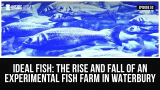 Ideal Fish: The rise and fall of an experimental fish farm in Waterbury