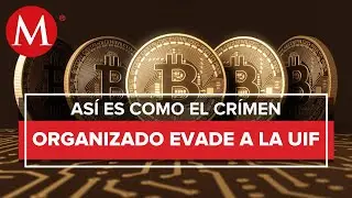 Con efectivo y bitc&oacute;in, grupos criminales evaden a la UIF