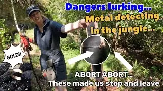 Поиск металла пошел не так… От слез к улыбкам… Нахождение золота