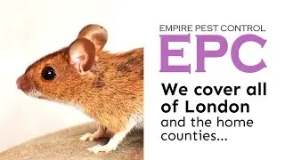 MOUSE CONTROL LONDON UK ~ GET RID OF MICE ~ EMPIRE PEST CONTROL LONDON