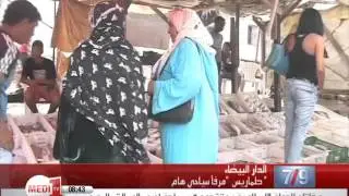 ربورطاج .. معاناة صيادي السمك في ميناء طماريس ببلدية بوعزة