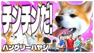 ハングリーハヤシ - チンチンだ！
