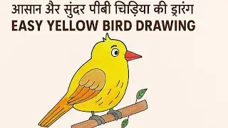 Yellow Bird Drawing | Easy & Cute Bird Art | Bird Drawing for Beginners