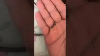 Wahl Gold magic clip (REAL) vs (FAKE)