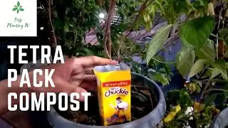 How to Make Compost at Home Using Tetra Pack| EASY PLANTING TV