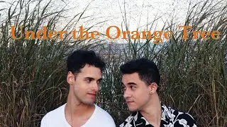 Under the Orange Tree | Title Announcement