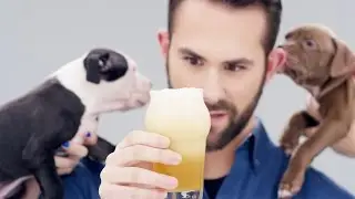 Samuel Adams&reg; #NitroProject | &ldquo;Nitro Now. Puppies Later.&rdquo;