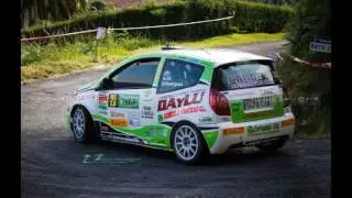ADRIAN GIL (AGC) C2R2MAX RALLYE NARON 2017