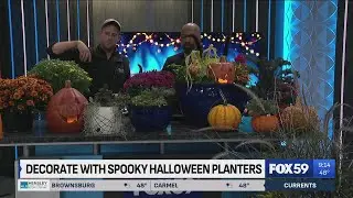 Decorate with spooky Halloween Planters