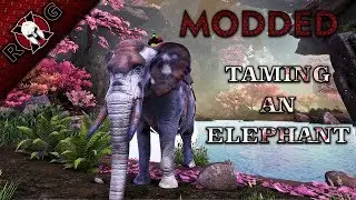 ARK | PUGNACIA | TAMING AN ELEPHANT & BUILDING A DRAW BRIDGE! Ep 4 [Sons of AnARKy]