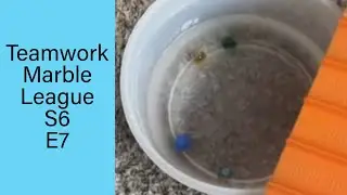 Teamwork Marble League Season 6 - Event 7: Swimming | Streak&rsquo;s Marble Runs