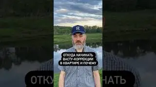 Васту-коррекции в квартире: с какой зоны начинать и почему? #васту #вастукоррекции #юткинпетр