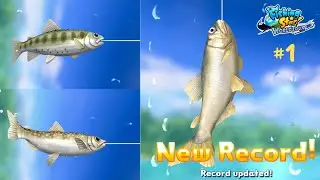 Fishing Star World Tour : Catch All Fishes In The World #1