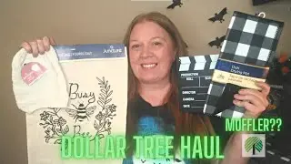 DOLLAR TREE HAUL | RANDOM ITEMS | MUFFLER???