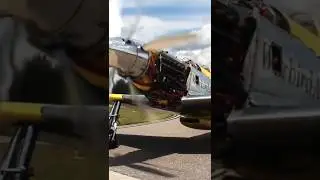 V 12 Rolls Royce Griffon powered P 51 Mustang #shorts