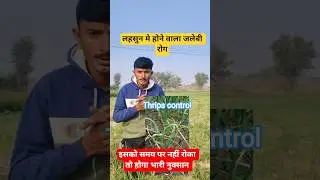 Lahsun me jalebi rog । lahsun me thrips। लहसुन में जलेबी रोग का इलाज । #farming #ytshorts #explore
