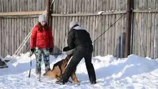 Поле Ротти Плизер