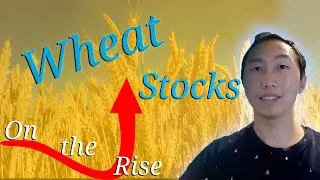 Opportunity in wheat stocks?