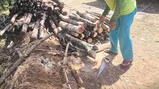 Traditional Wood Cutting Skills in Rural Farming Life #RuralAgriculture #TraditionalFarming