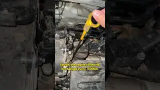 Car maintenance skills that 8 billion people don&rsquo;t know, 10-second tutorial! #car