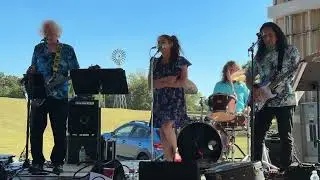 The David Michaels Band - Mustang Sally