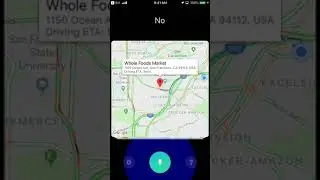 Voice Copilot on the App Store
