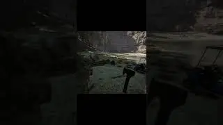 Calvin macht Trocken&uuml;bungen am Strand #gaming #survival #letsplay