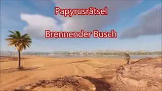 Assassins Creed Papyrusr&auml;tsel Brennender Busch