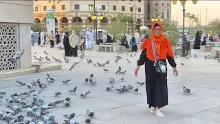 Catatan Perjalanan Haji 2025 ( Part 2 )