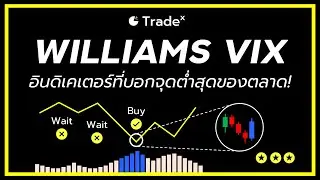 อินดิเคเตอร์นี้ บอกจุดต่ำสุดของตลาด! (แม่นมาก) | VIX Index | TradeX
