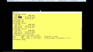 Practice Lab Session - 1 (Process Management) in Linux