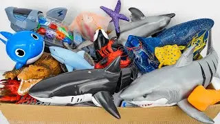 Toy asmr 🐠 Zuru Robo Sea Dinosaurs & Dino Battle Playset ASMR Satisfying with Unboxing | Review toys
