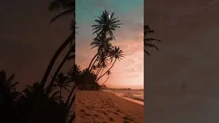 Choose a beach view. #2020 #nostalgia #aesthetic #vibes #chooseone #beach #foryou #relaxing #fyp