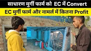 How to make EC Poultry farm House | EC broiler Chicken Farming Mangement System 