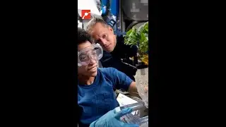 Why NASA is Experimenting with Plants on the Space Station?