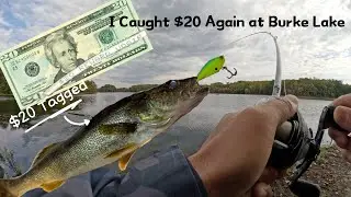 I Caught $20 Again at Burke Lake | Chatterbait Bass Fishing ｜ Lipless Crankbait Walleye Fishing