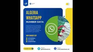 Algeria WhatsApp Number List | Latest Lead