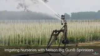 Irrigating Nurseries with Nelson Big Gun&reg; Sprinklers on Hose Reel Travelers