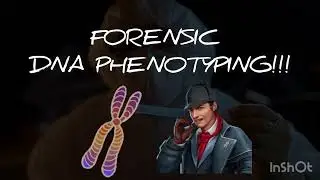 Forensic DNA Phenotyping : The Future of Criminal Identification and Genetics