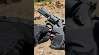 Taurus tracker 44 Mag revolver FPV