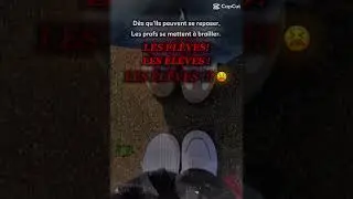 D&egrave;s qu&rsquo;ils peuvent se reposer&hellip;