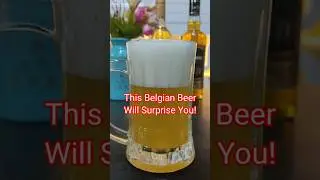 What Makes Hoegaarden So Refreshing? #beer #shorts