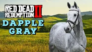 Horse Hunting - Dapple Gray Thoroughbred (Best Horses in Red Dead Redemption 2)